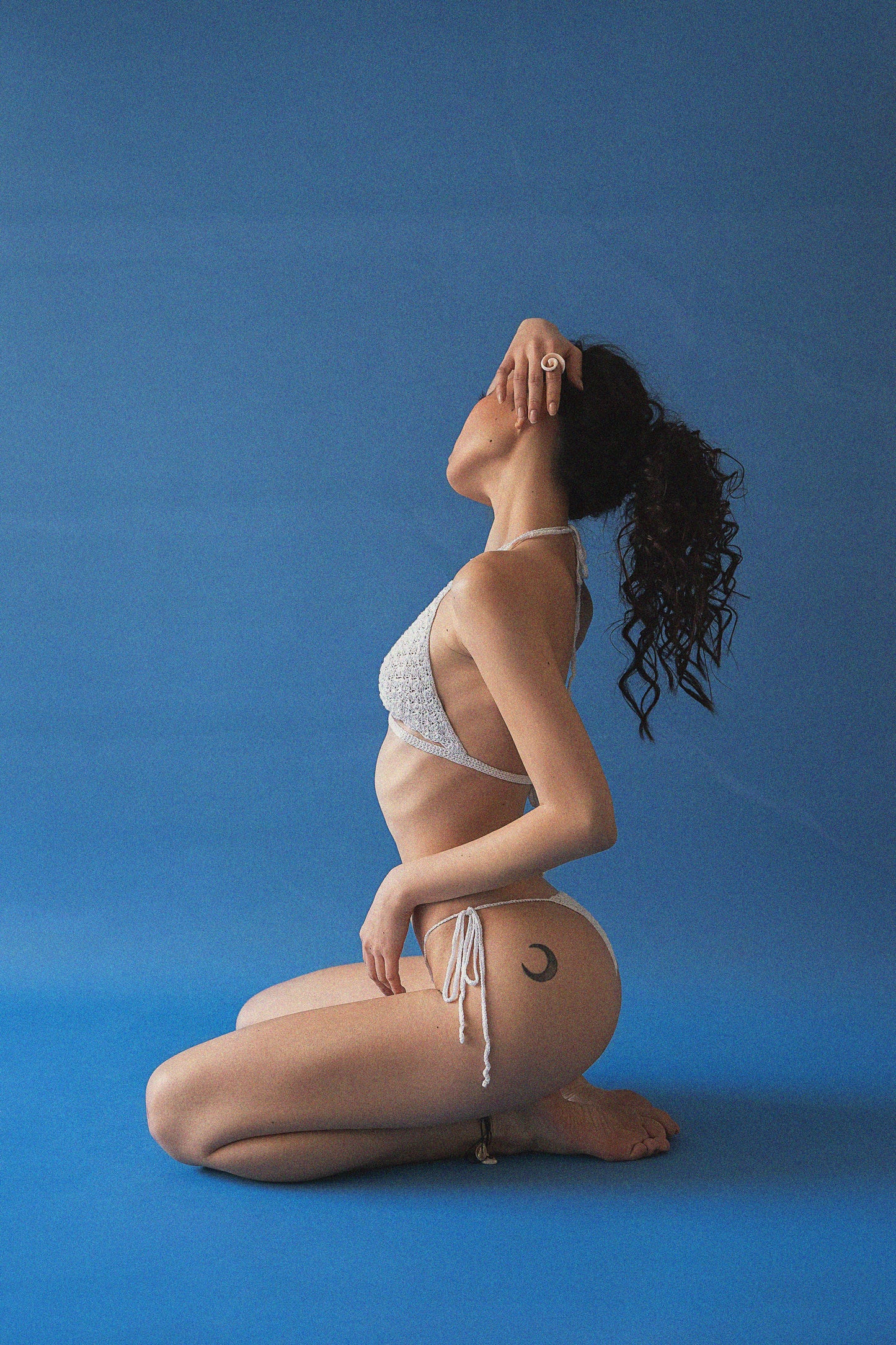 Bikini Shell Limestone